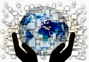 九游电竞中心-国家滑板协会公布全国青少年排名更新机制，国家滑板队训练中心