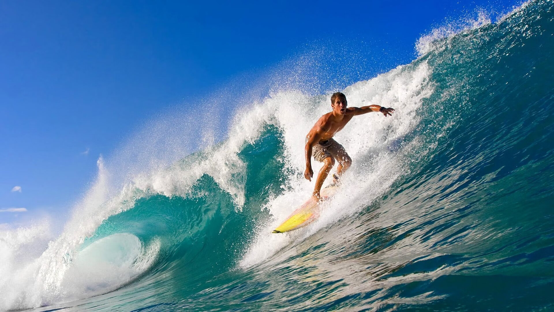 9游电竞资讯-篮网队训练营开放日球迷爆满，篮网训练中心